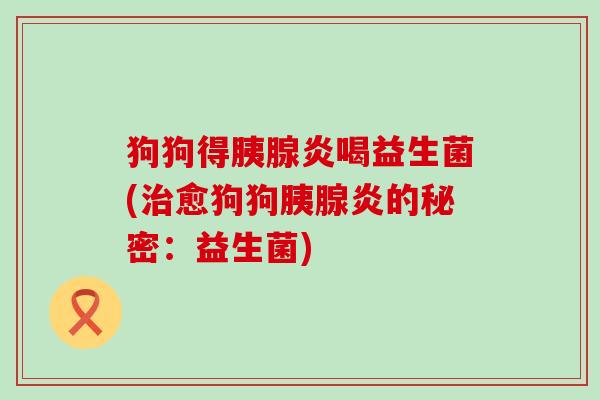 狗狗得胰腺炎喝益生菌(愈狗狗胰腺炎的秘密：益生菌)