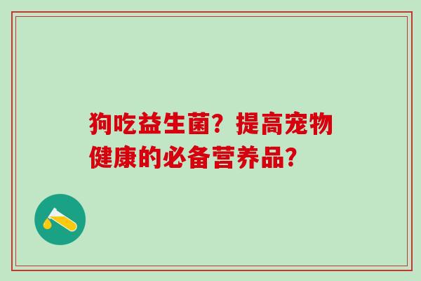 狗吃益生菌？提高宠物健康的必备营养品？