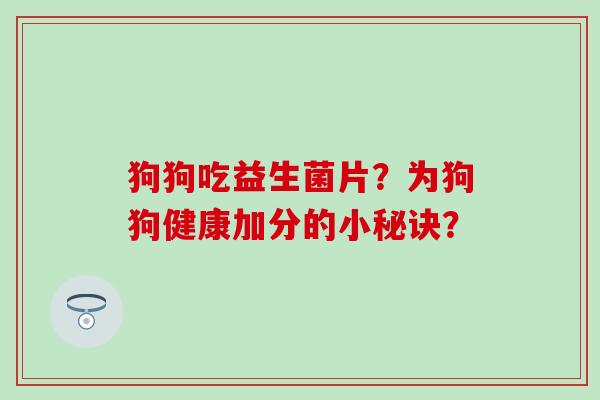 狗狗吃益生菌片？为狗狗健康加分的小秘诀？