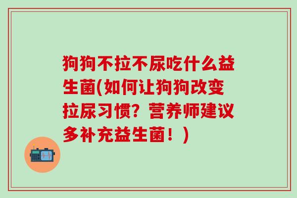狗狗不拉不尿吃什么益生菌(如何让狗狗改变拉尿习惯?营养师建议多补充益生菌!) 狗狗不拉不尿吃什么益生菌(如何让狗狗改变拉尿习惯?营养师建议多补充益生菌!)
