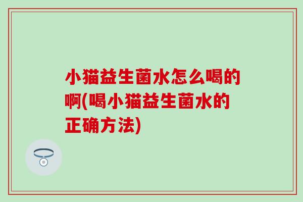 小猫益生菌水怎么喝的啊(喝小猫益生菌水的正确方法)