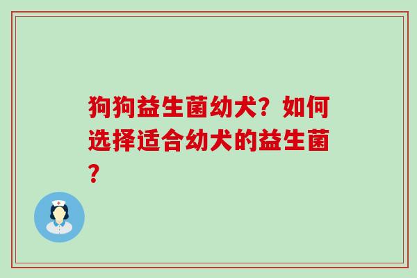 狗狗益生菌幼犬？如何选择适合幼犬的益生菌？