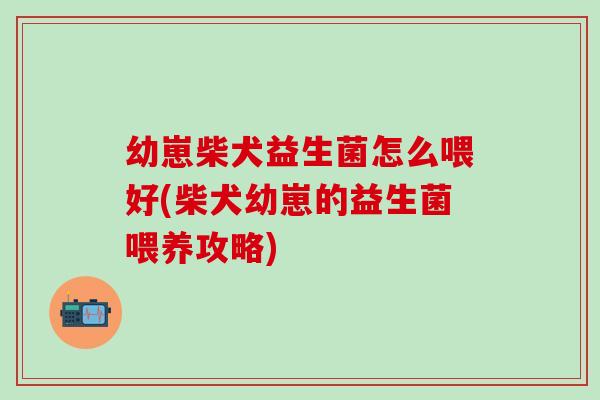 幼崽柴犬益生菌怎么喂好(柴犬幼崽的益生菌喂养攻略)
