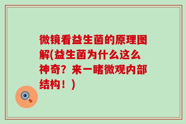 微镜看益生菌的原理图解(益生菌为什么这么神奇？来一睹微观内部结构！)