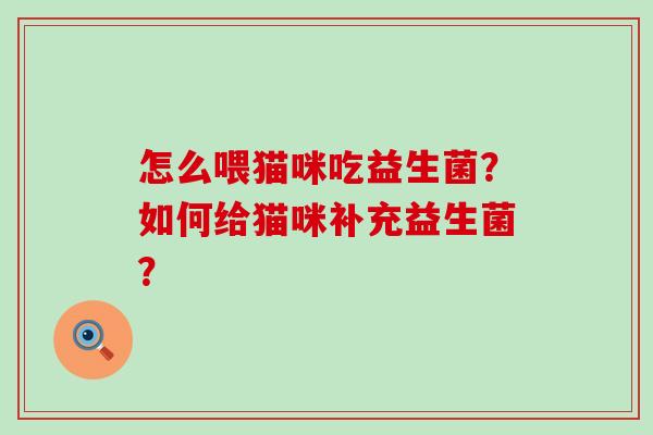 怎么喂猫咪吃益生菌？如何给猫咪补充益生菌？