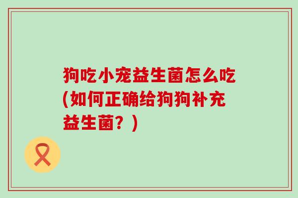 狗吃小宠益生菌怎么吃(如何正确给狗狗补充益生菌？)
