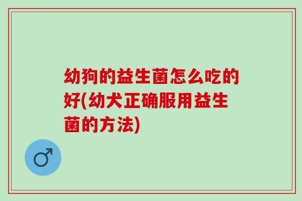 幼狗的益生菌怎么吃的好(幼犬正确服用益生菌的方法)