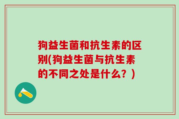 狗益生菌和抗生素的区别(狗益生菌与抗生素的不同之处是什么？)