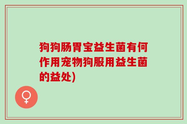 狗狗肠胃宝益生菌有何作用宠物狗服用益生菌的益处)