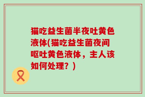 猫吃益生菌半夜吐黄色液体(猫吃益生菌夜间黄色液体，主人该如何处理？)