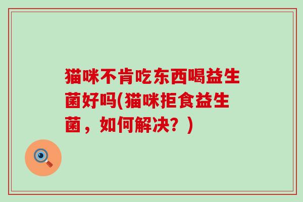 猫咪不肯吃东西喝益生菌好吗(猫咪拒食益生菌，如何解决？)