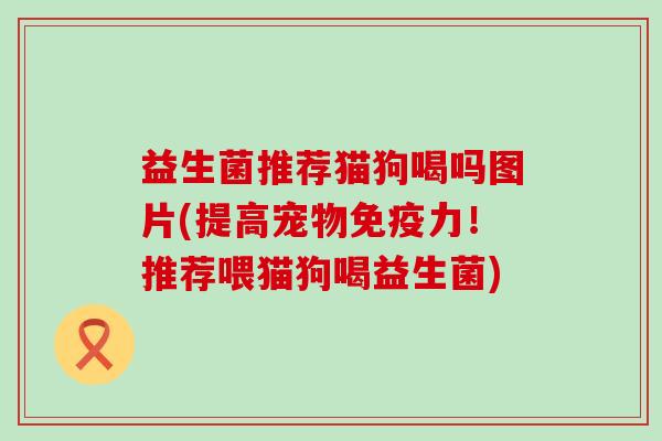 益生菌推荐猫狗喝吗图片(提高宠物力！推荐喂猫狗喝益生菌)