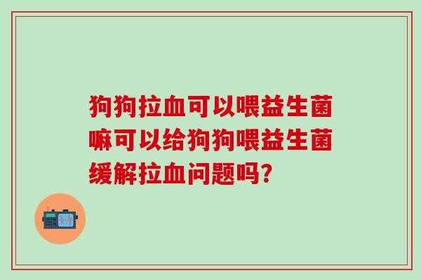 狗狗拉可以喂益生菌嘛可以给狗狗喂益生菌缓解拉问题吗？