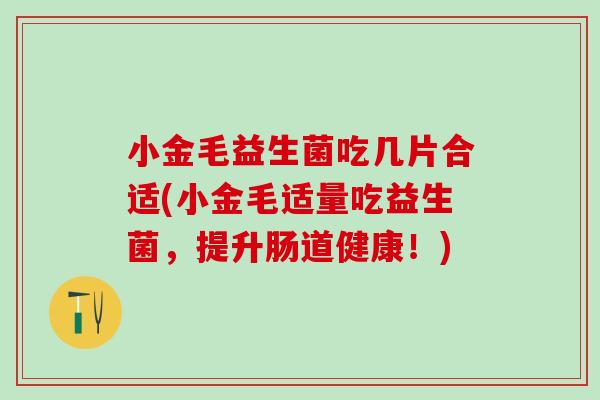 小金毛益生菌吃几片合适(小金毛适量吃益生菌，提升肠道健康！)