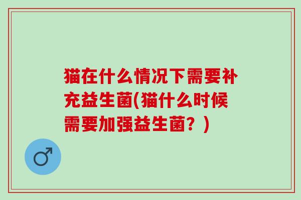 猫在什么情况下需要补充益生菌(猫什么时候需要加强益生菌？)