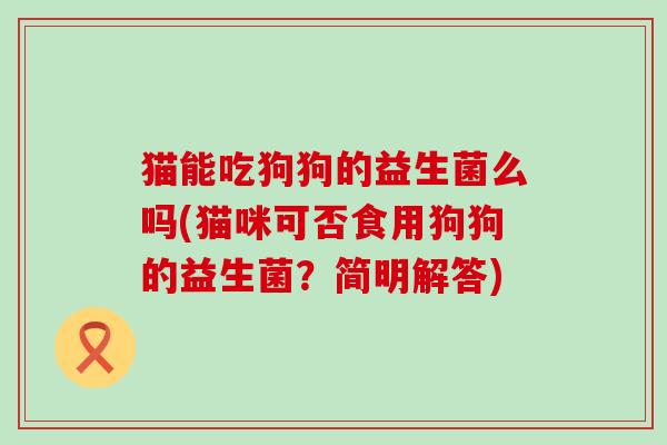 猫能吃狗狗的益生菌么吗(猫咪可否食用狗狗的益生菌？简明解答)