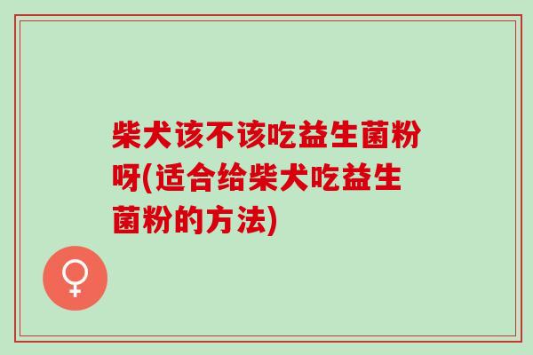 柴犬该不该吃益生菌粉呀(适合给柴犬吃益生菌粉的方法)