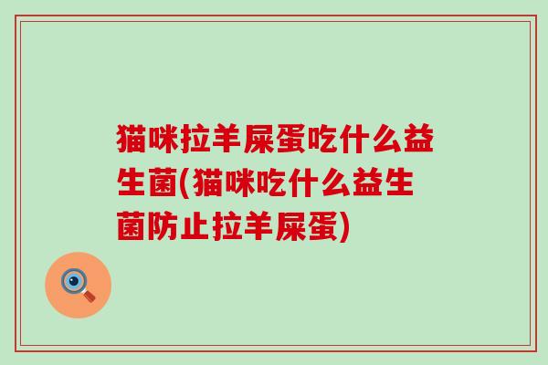 猫咪拉羊屎蛋吃什么益生菌(猫咪吃什么益生菌防止拉羊屎蛋)