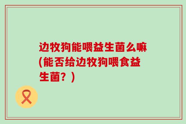边牧狗能喂益生菌么嘛(能否给边牧狗喂食益生菌？)