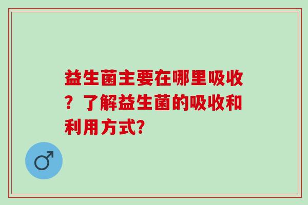 益生菌主要在哪里吸收？了解益生菌的吸收和利用方式？