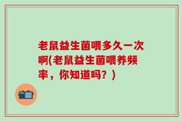 老鼠益生菌喂多久一次啊(老鼠益生菌喂养频率，你知道吗？)