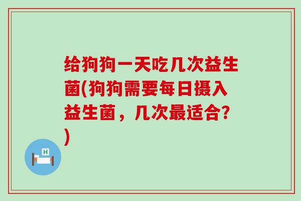 给狗狗一天吃几次益生菌(狗狗需要每日摄入益生菌，几次适合？)