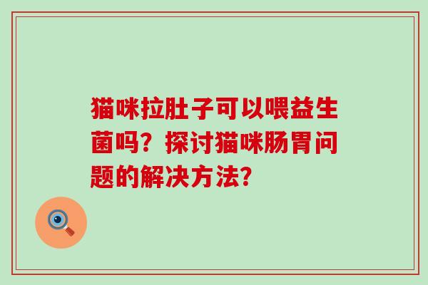 猫咪拉肚子可以喂益生菌吗？探讨猫咪肠胃问题的解决方法？