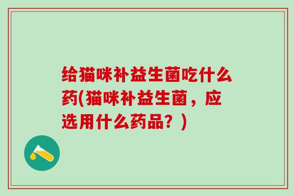给猫咪补益生菌吃什么药(猫咪补益生菌，应选用什么药品？)
