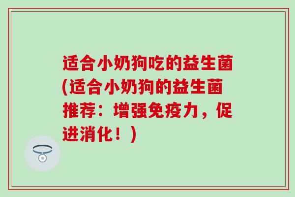 适合小奶狗吃的益生菌(适合小奶狗的益生菌推荐：增强力，促进消化！)