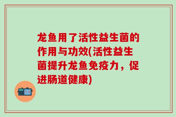龙鱼用了活性益生菌的作用与功效(活性益生菌提升龙鱼力，促进肠道健康)