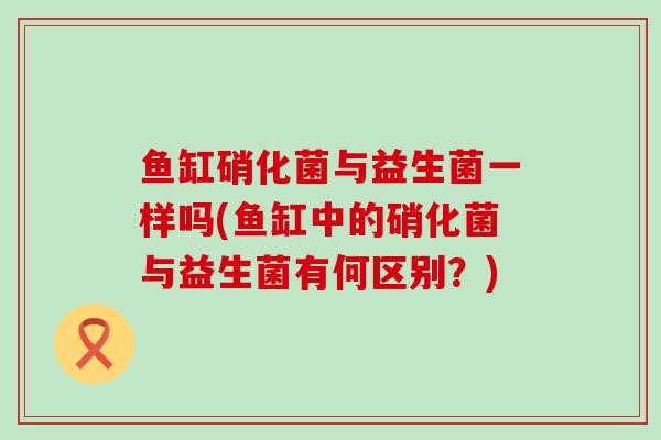 鱼缸硝化菌与益生菌一样吗(鱼缸中的硝化菌与益生菌有何区别？)
