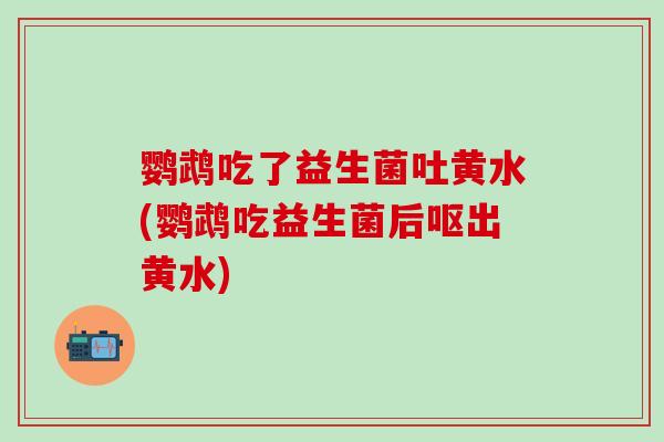 鹦鹉吃了益生菌吐黄水(鹦鹉吃益生菌后呕出黄水)