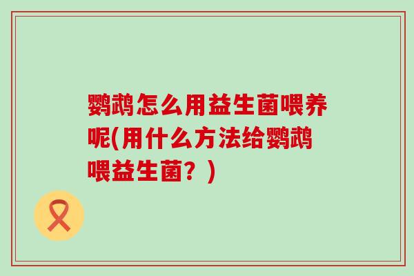 鹦鹉怎么用益生菌喂养呢(用什么方法给鹦鹉喂益生菌？)