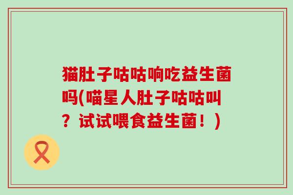 猫肚子咕咕响吃益生菌吗(喵星人肚子咕咕叫？试试喂食益生菌！)