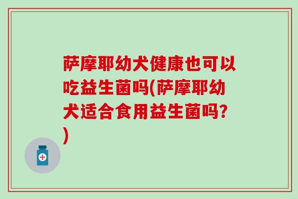 萨摩耶幼犬健康也可以吃益生菌吗(萨摩耶幼犬适合食用益生菌吗？)