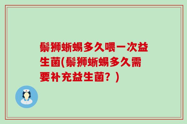 鬃狮蜥蜴多久喂一次益生菌(鬃狮蜥蜴多久需要补充益生菌？)