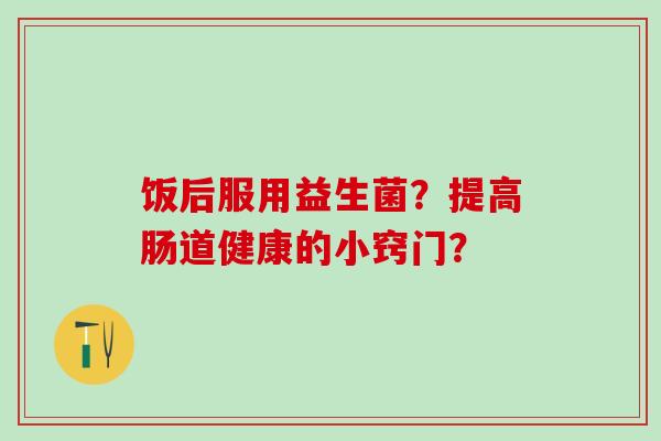 饭后服用益生菌？提高肠道健康的小窍门？