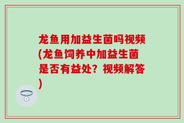 龙鱼用加益生菌吗视频(龙鱼饲养中加益生菌是否有益处？视频解答)