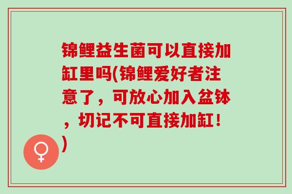锦鲤益生菌可以直接加缸里吗(锦鲤爱好者注意了，可放心加入盆钵，切记不可直接加缸！)