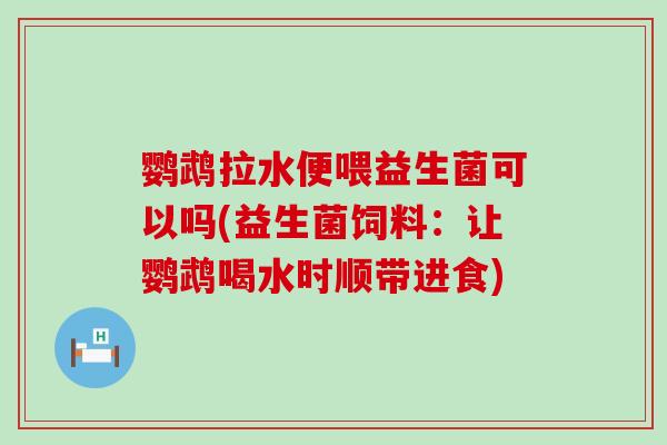 鹦鹉拉水便喂益生菌可以吗(益生菌饲料：让鹦鹉喝水时顺带进食)