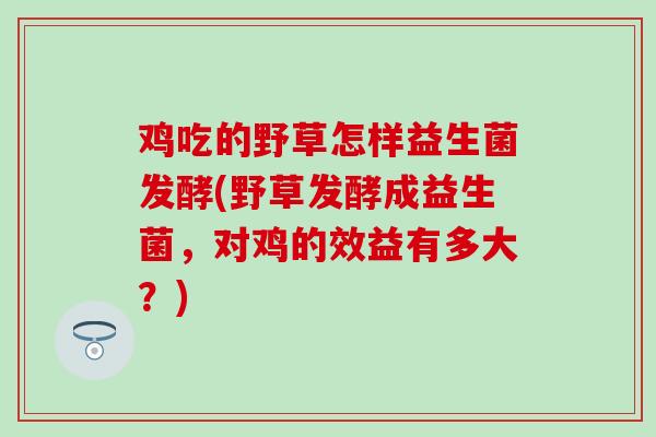 鸡吃的野草怎样益生菌发酵(野草发酵成益生菌，对鸡的效益有多大？)