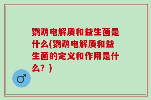 鹦鹉电解质和益生菌是什么(鹦鹉电解质和益生菌的定义和作用是什么？)