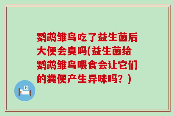 鹦鹉雏鸟吃了益生菌后大便会臭吗(益生菌给鹦鹉雏鸟喂食会让它们的粪便产生异味吗？)