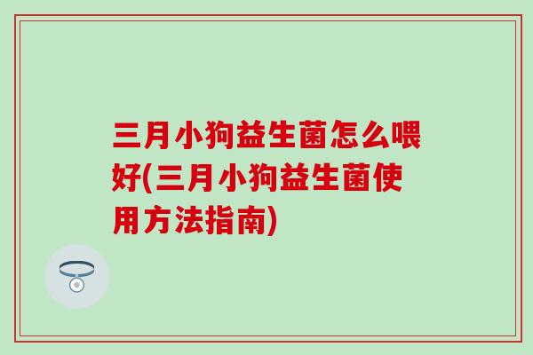 三月小狗益生菌怎么喂好(三月小狗益生菌使用方法指南)