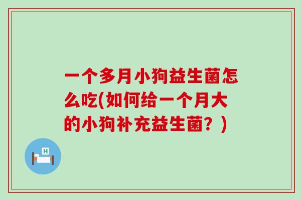 一个多月小狗益生菌怎么吃(如何给一个月大的小狗补充益生菌？)