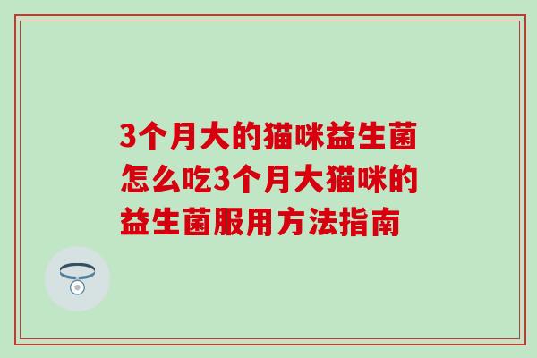 3个月大的猫咪益生菌怎么吃3个月大猫咪的益生菌服用方法指南