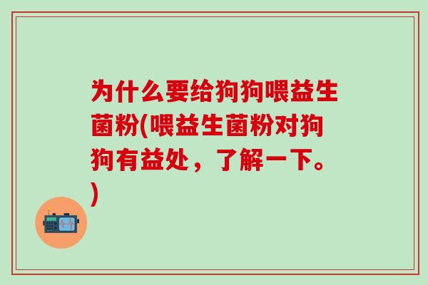 为什么要给狗狗喂益生菌粉(喂益生菌粉对狗狗有益处，了解一下。)