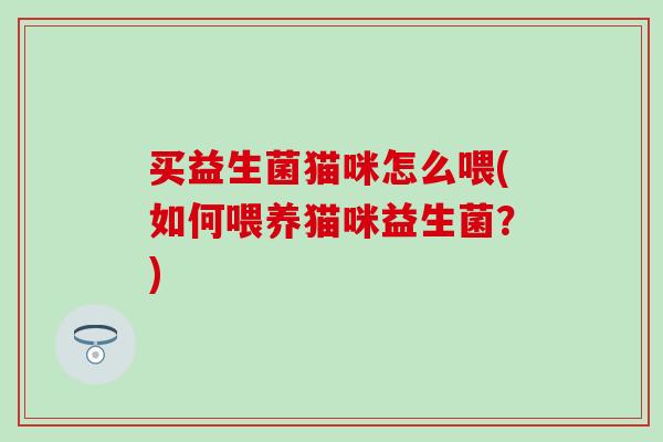 买益生菌猫咪怎么喂(如何喂养猫咪益生菌？)