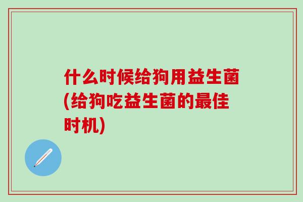 什么时候给狗用益生菌(给狗吃益生菌的佳时机)