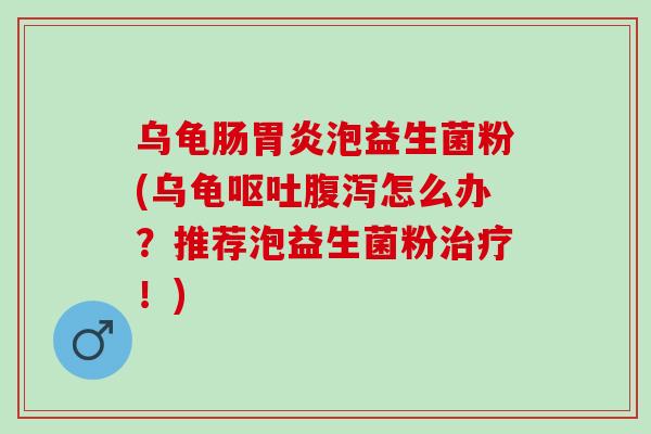 乌龟肠泡益生菌粉(乌龟怎么办？推荐泡益生菌粉！)
